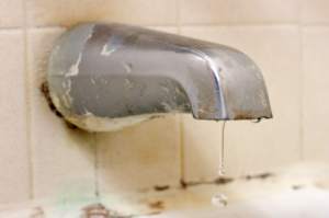 mold