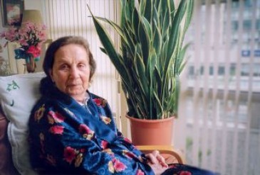 Alzheimer Stages