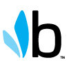 Bumbleride Logo