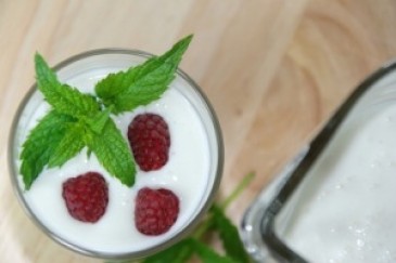 best probiotics
